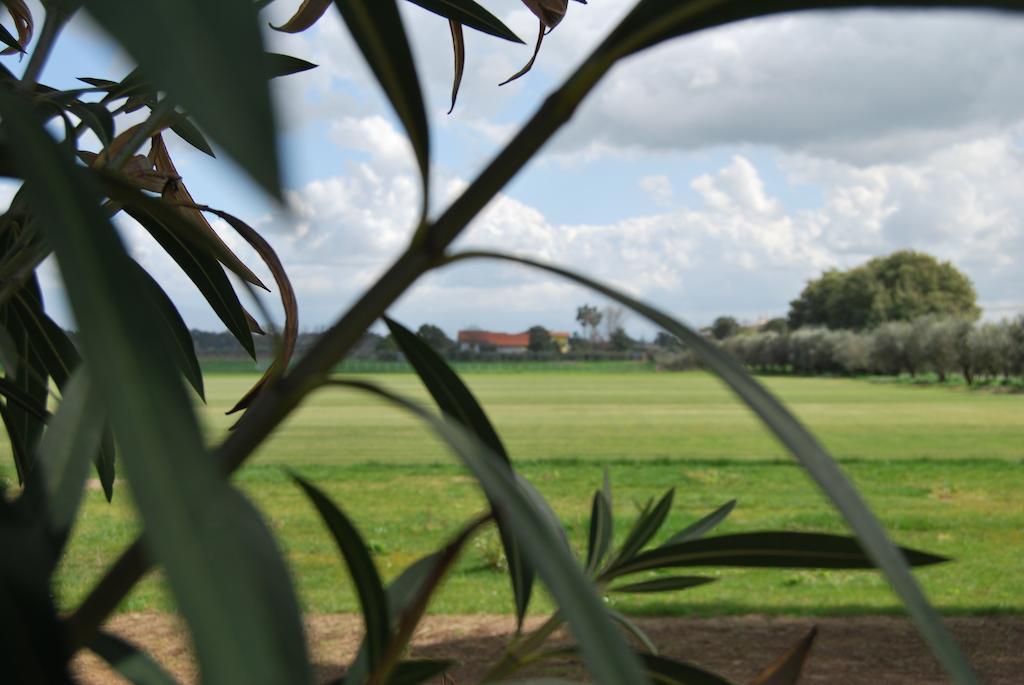 Agriturismo Torre Cristina Aprilia Eksteriør billede