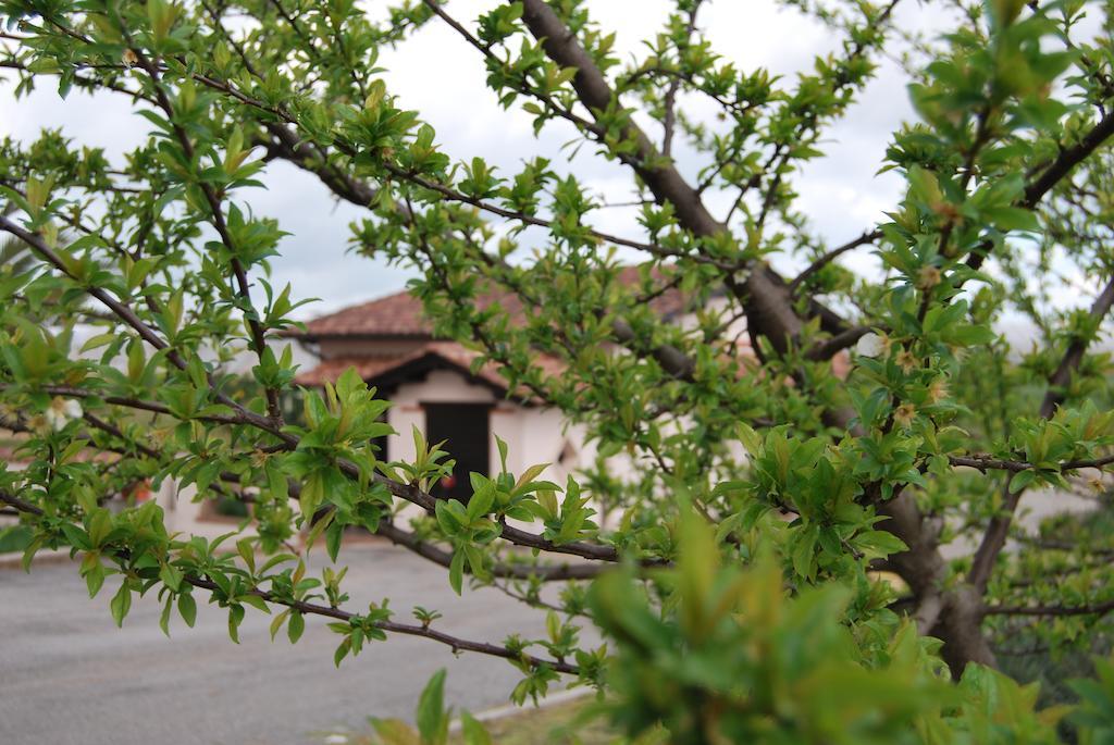 Agriturismo Torre Cristina Aprilia Eksteriør billede