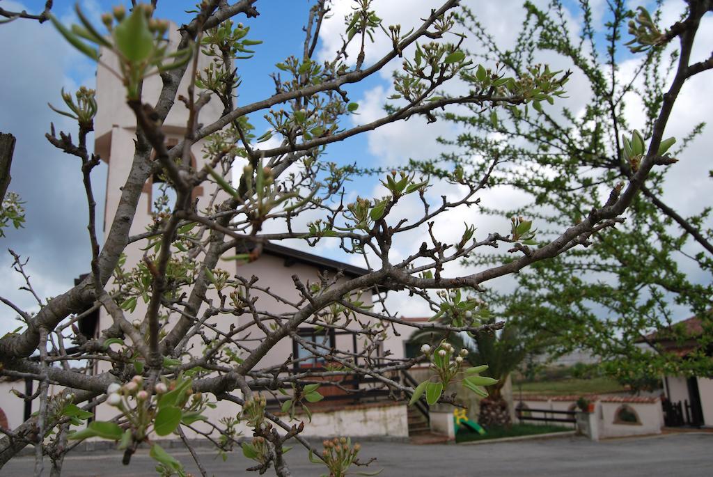 Agriturismo Torre Cristina Aprilia Eksteriør billede